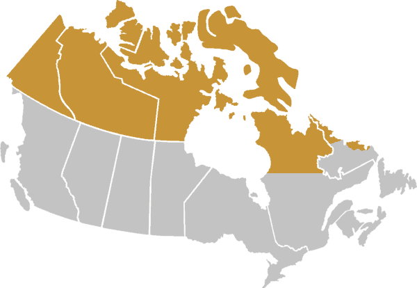 Northern Strategy - Canadian Women's Foundation